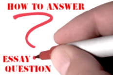 How to Answer Essay Questions by sgv40627